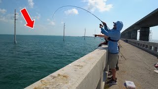 🌉 바다문 다리 (해문교) 이미지 5